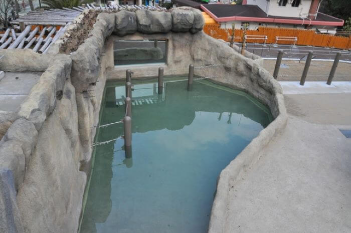 2011年に完成した新ゾウ舎の運動場にあるゾウの水浴び用のプールの画像